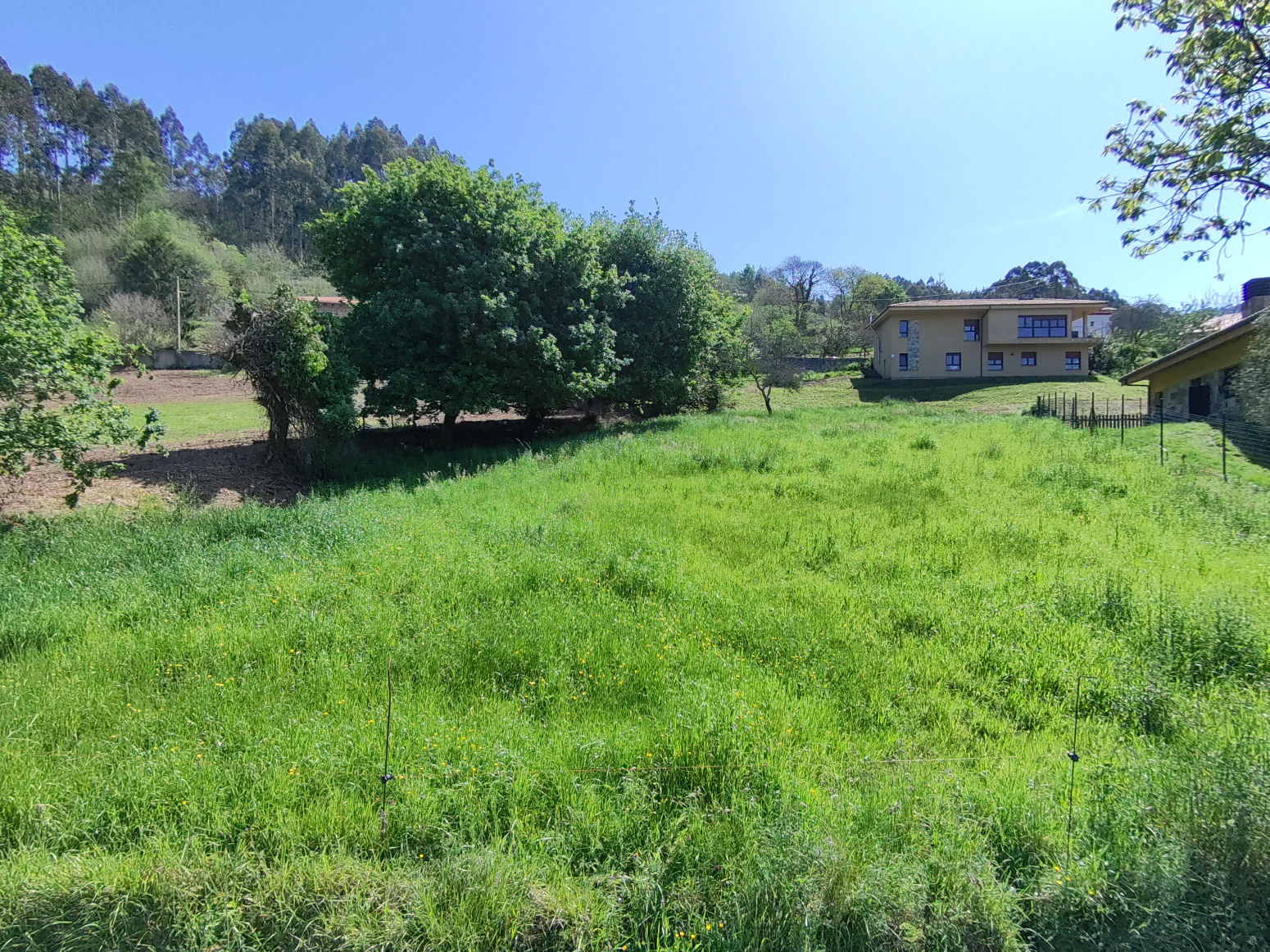 Fincas y solares-Venta-GijÃ³n-1425496-Foto-25