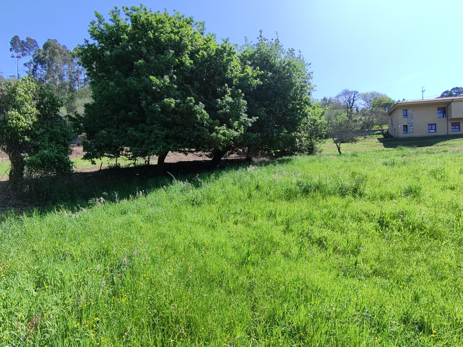Fincas y solares-Venta-GijÃ³n-1425496-Foto-26