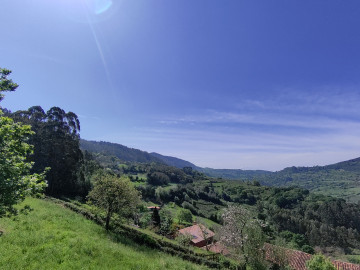 Finca