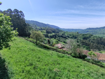 Finca