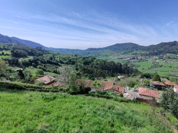 Finca