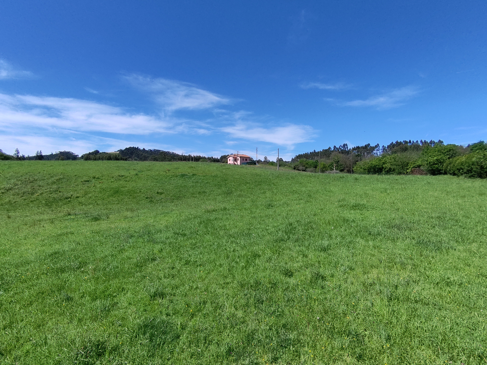 Fincas y solares-Venta-GijÃ³n-1434956-Foto-2