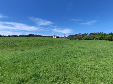 Finca