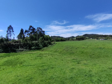Finca