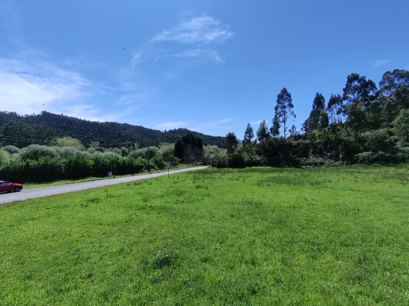FINCA EDIFICABLE EN GIJON EN LA ZONA DE SERÍN PARCELABLE PARA CONSTRUIR TRES CASAS