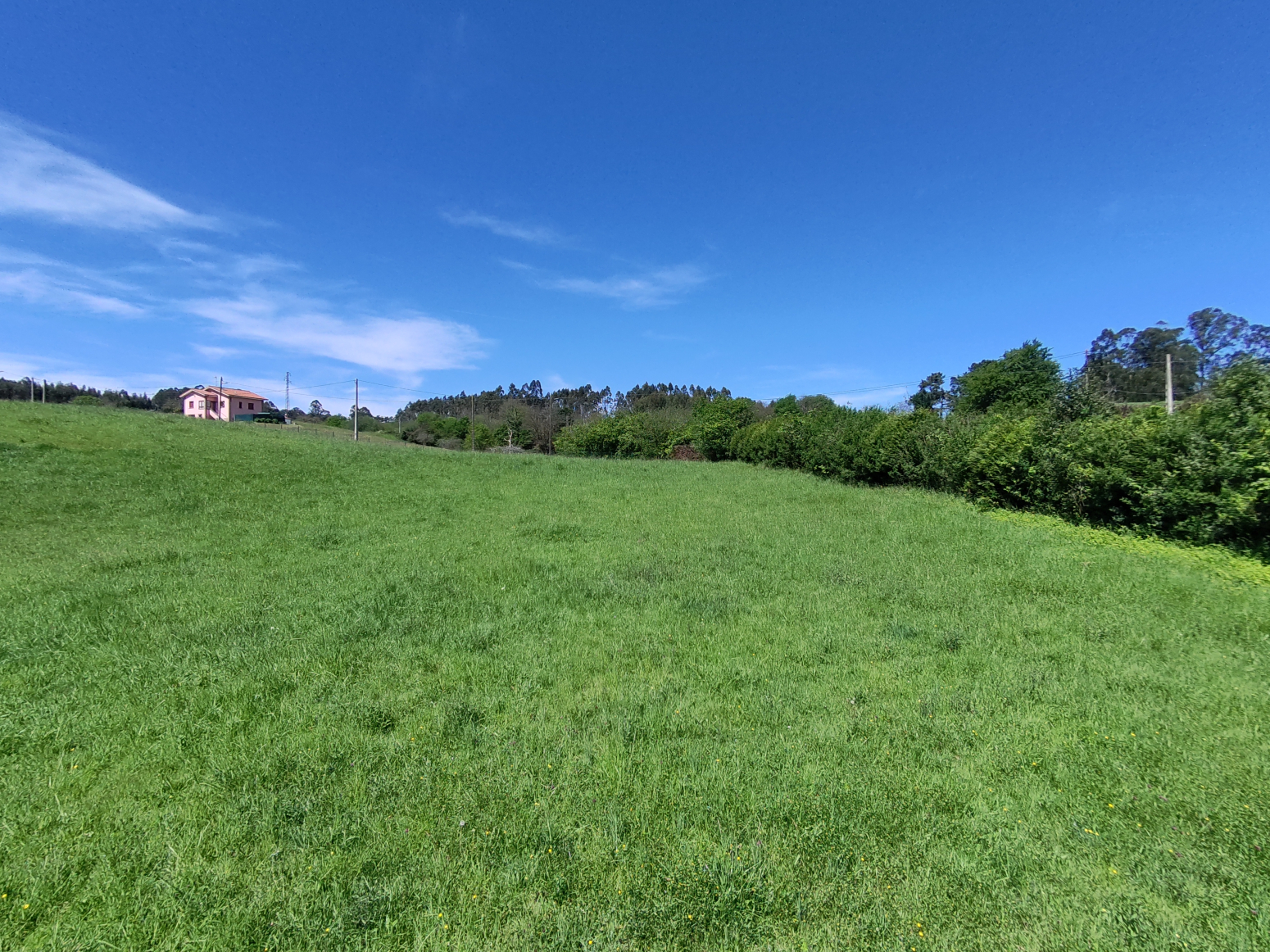 Fincas y solares-Venta-GijÃ³n-1434956-Foto-13