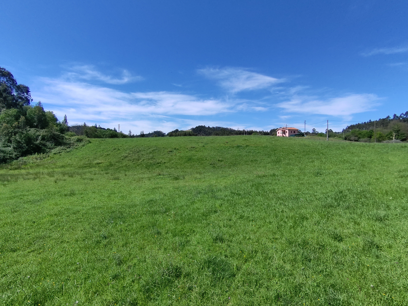 Fincas y solares-Venta-GijÃ³n-1434956-Foto-19