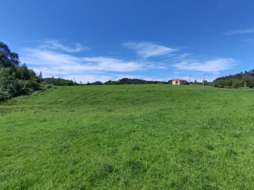 Finca