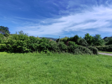 Finca