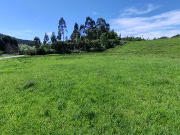 Finca