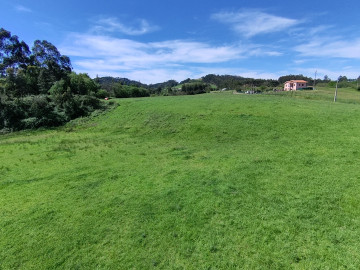 Finca