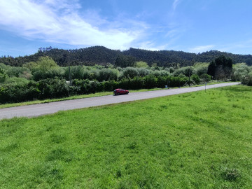 Finca