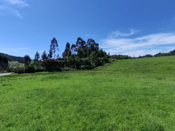 Finca