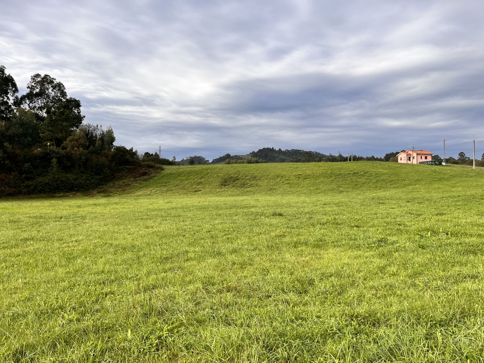 Fincas y solares-Venta-GijÃ³n-1434956-Foto-10