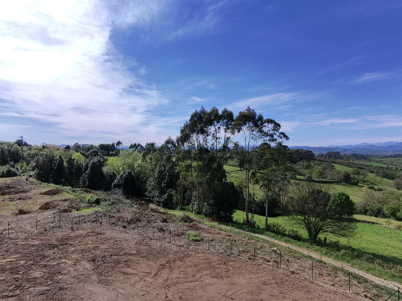 Fincas y solares-Venta-Siero-1713222-Foto-10