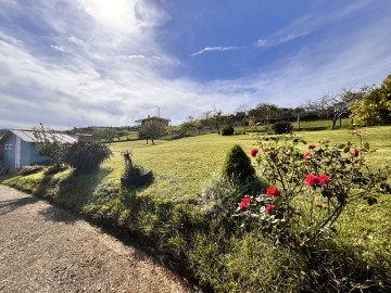 Finca