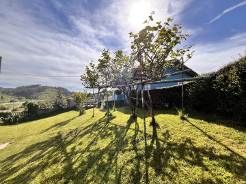 Finca