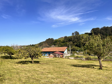 Finca