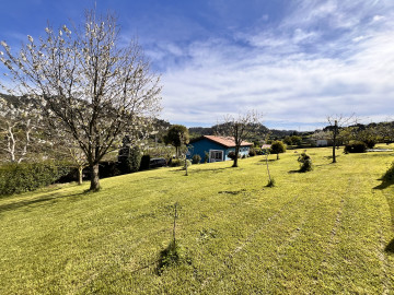 Finca