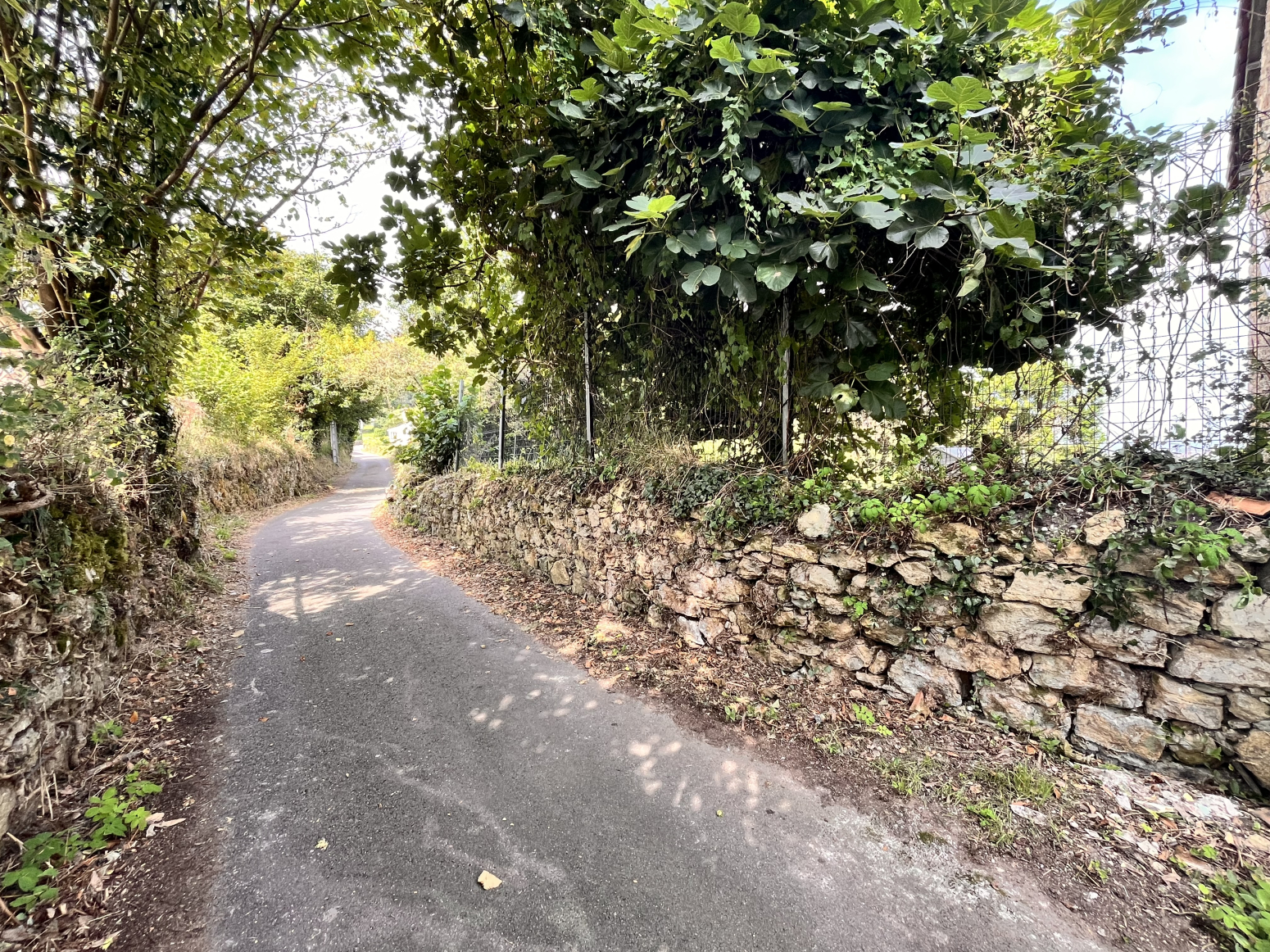 Casas o chalets-Venta-Siero-1834326-Foto-50