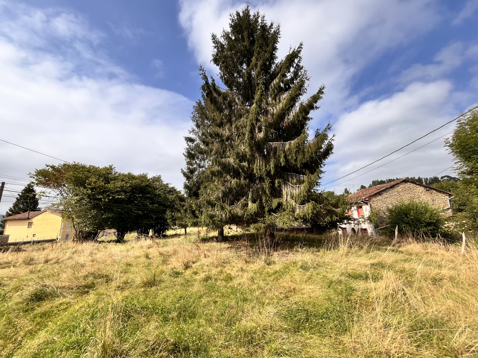 Casas o chalets-Venta-Siero-1834326-Foto-33