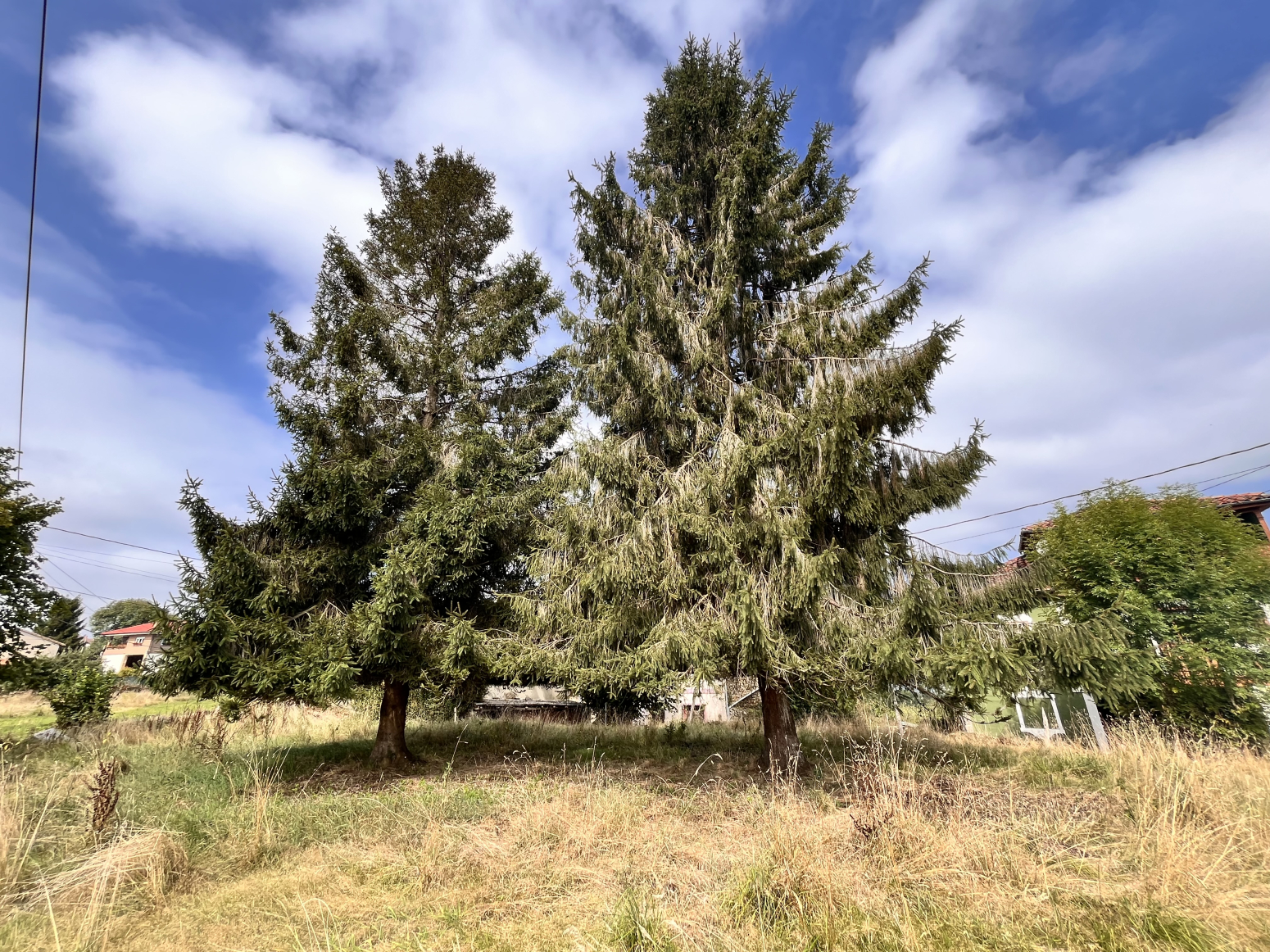 Casas o chalets-Venta-Siero-1834326-Foto-34