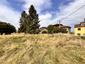 Finca