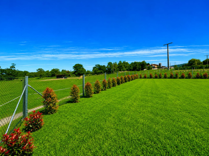 Fincas y solares-Venta-Villaviciosa-2291862-Foto-10