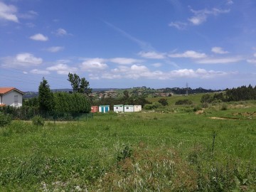 Finca