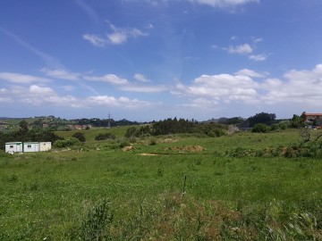 Finca