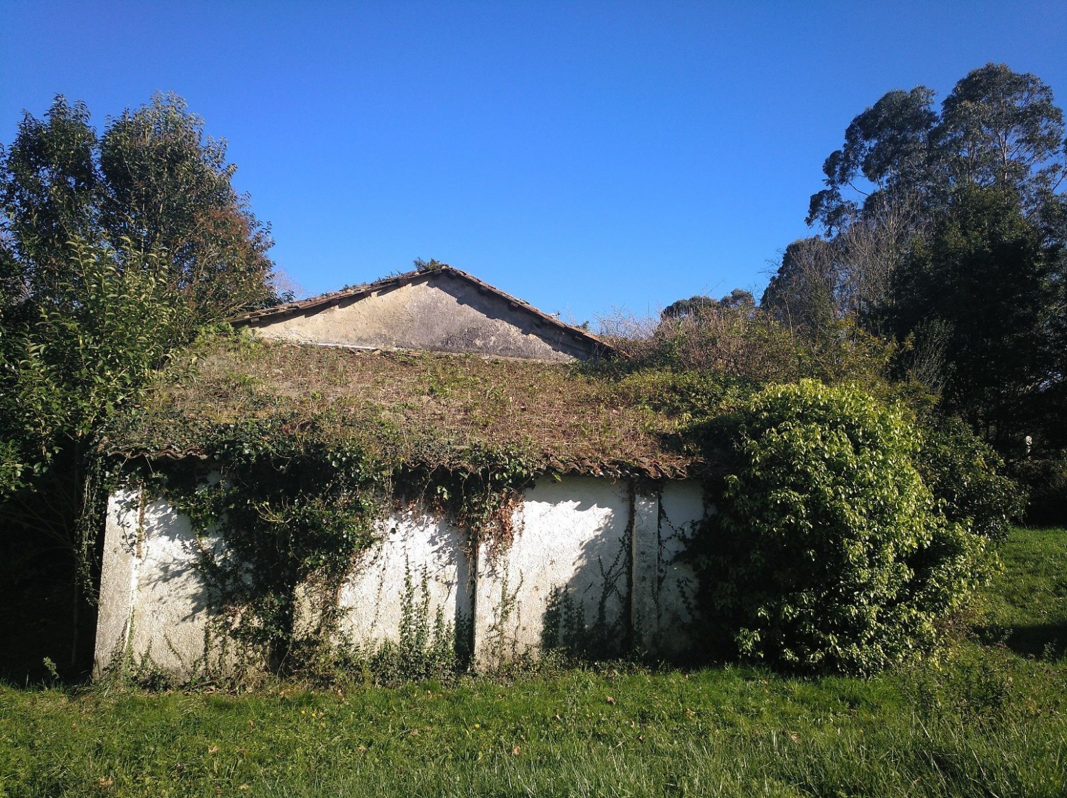 Edificios-Venta-Llanes-1045319-Foto-5