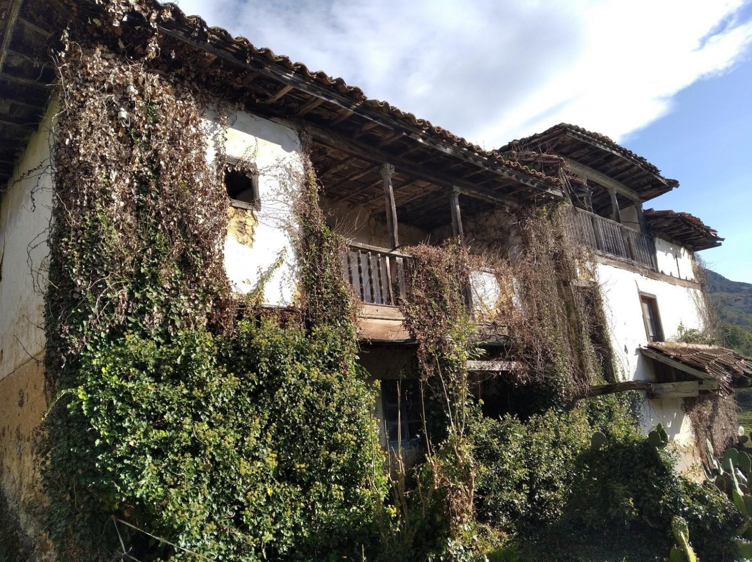 Casas o chalets-Venta-PiloÃ±a-1045382-Foto-22