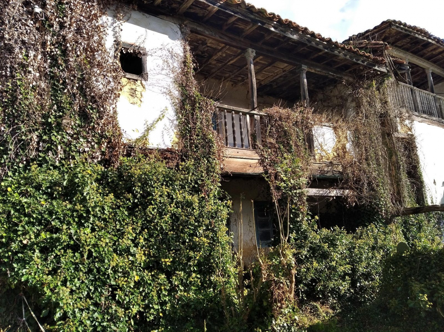 Casas o chalets-Venta-PiloÃ±a-1045382-Foto-2