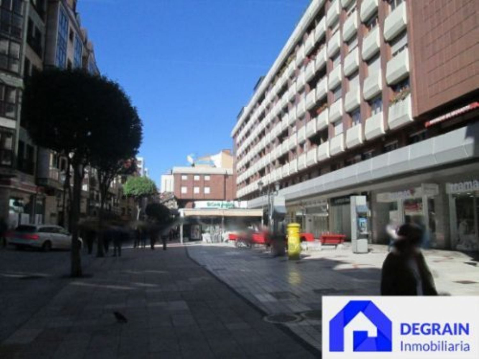 Locales-Alquiler-Oviedo-1051261-Foto-5