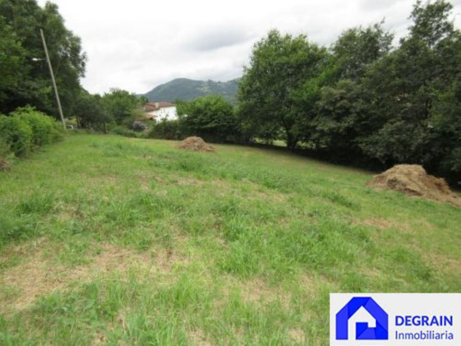 Fincas y solares-Venta-Oviedo-1051355-Foto-5