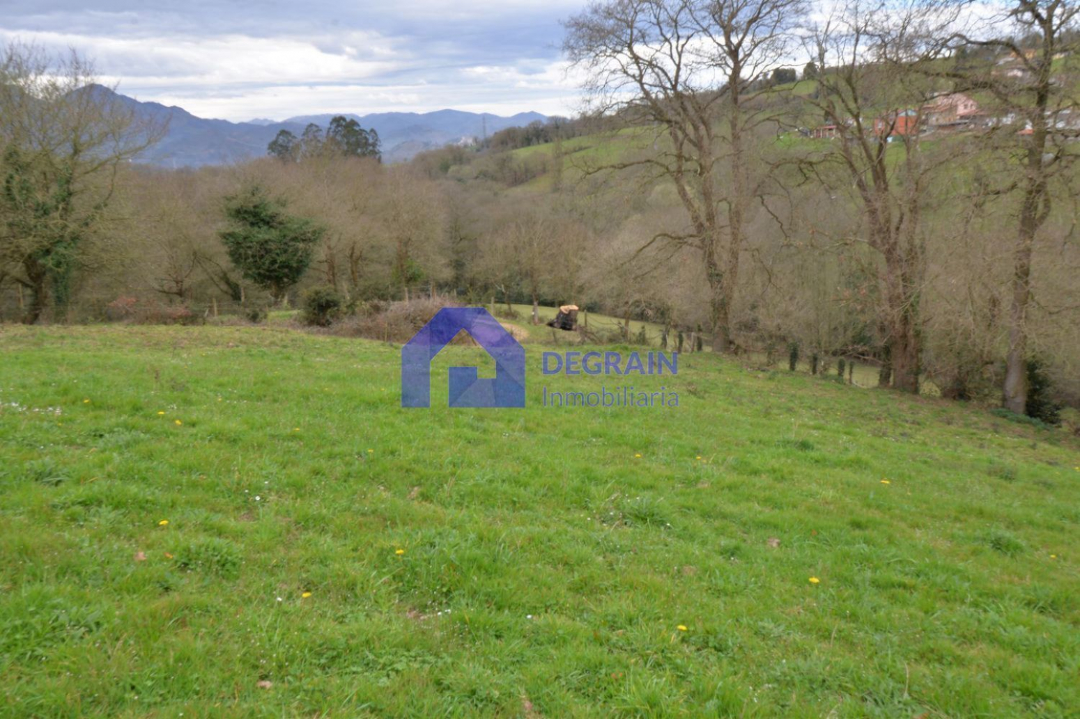 Fincas y solares-Venta-Oviedo-1051360-Foto-12