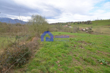 Fincas y solares-Venta-Oviedo-1051360-Foto-19-Carrousel