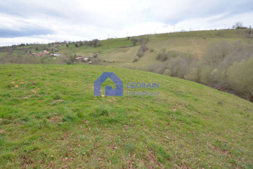 Fincas y solares-Venta-Oviedo-1051360-Foto-2-Carrousel