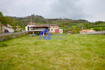 Fincas y solares-Venta-Oviedo-1051389-Foto-5-Carrousel