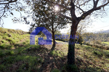 Fincas y solares-Venta-Grado-1051533-Foto-3-Carrousel