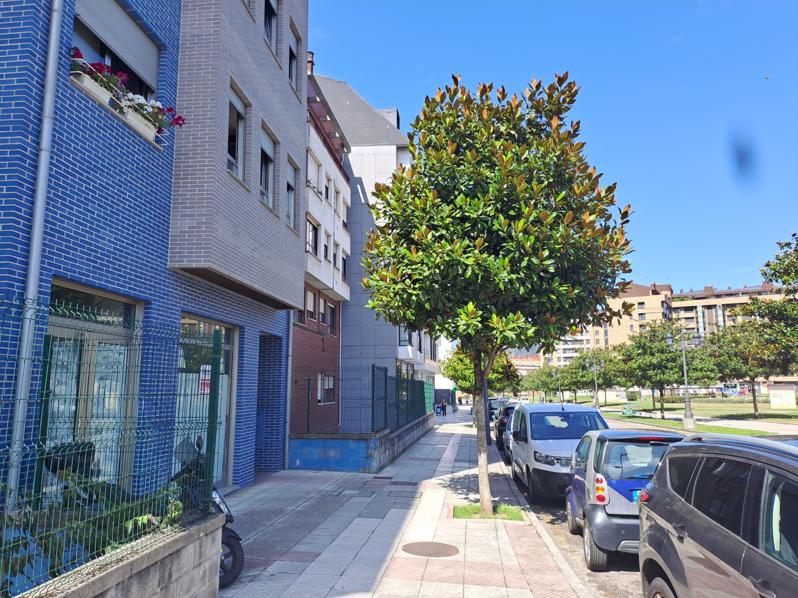 Locales-Alquiler-Oviedo-1399237-Foto-22