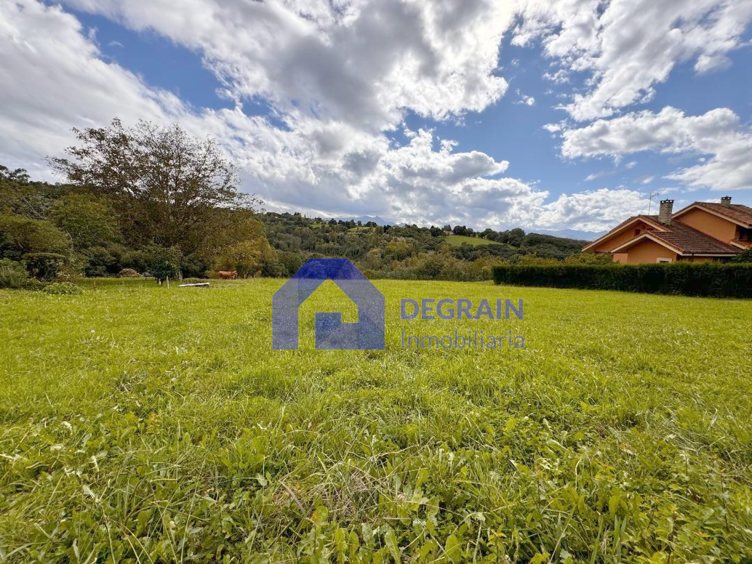 Fincas y solares-Venta-Oviedo-1414824-Foto-3