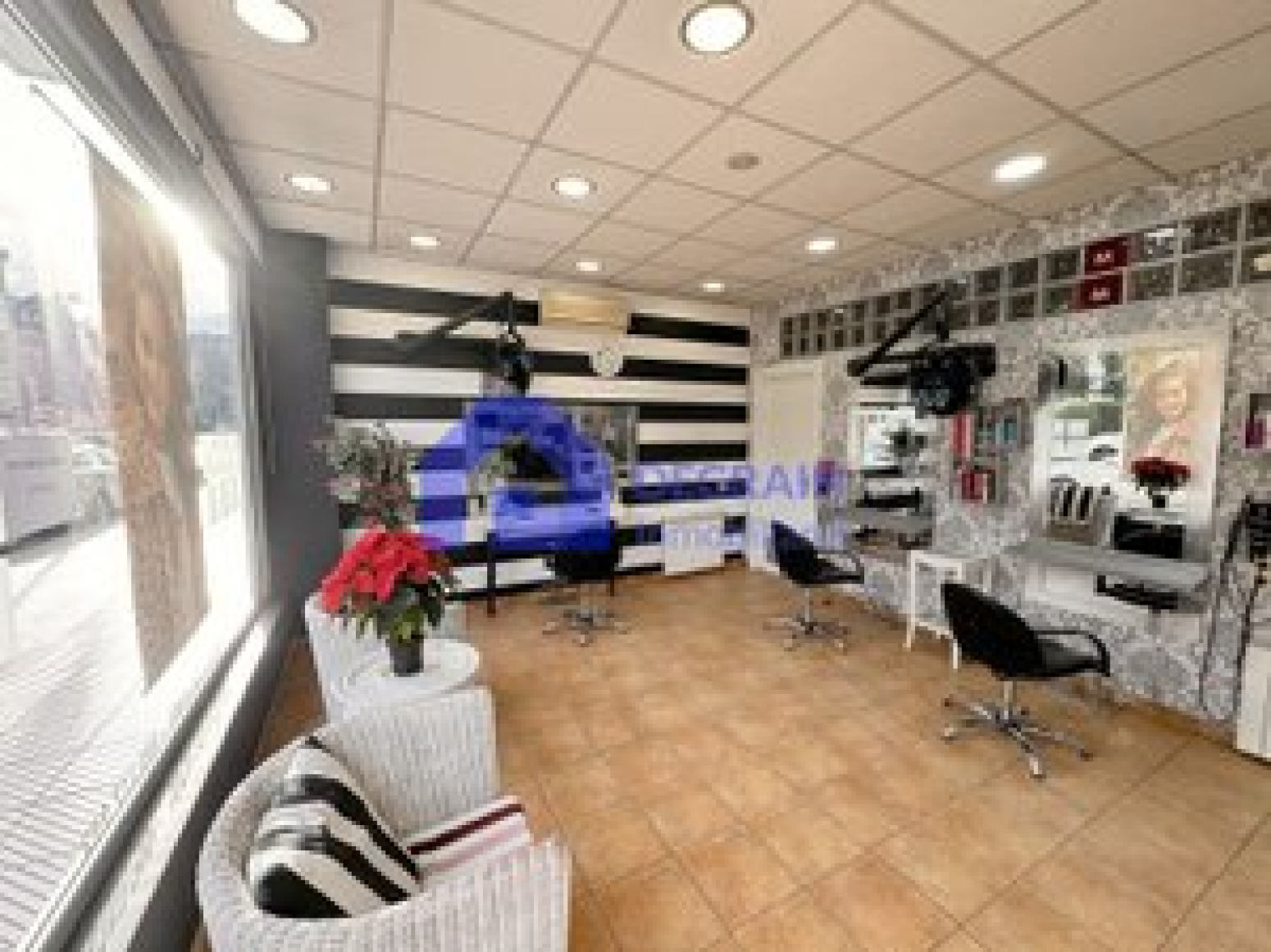 Locales-Venta-Oviedo-1483309-Foto-10