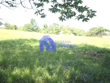 Fincas y solares-Venta-Siero-1559473-Foto-2-Carrousel