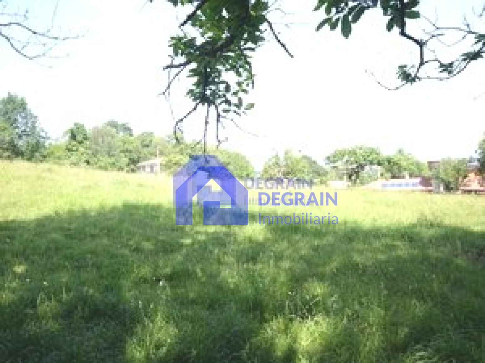 Fincas y solares-Venta-Siero-1559473-Foto-1