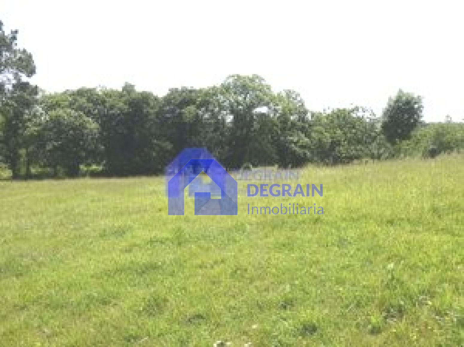 Fincas y solares-Venta-Siero-1559473-Foto-2
