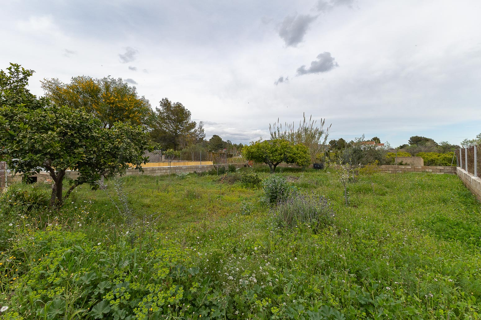 Casas o chalets-Venta-Monserrat - Montserrat-2114724-Foto-33