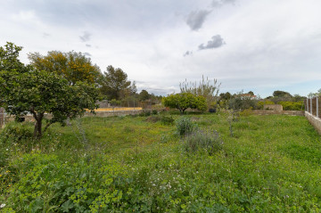 Casas o chalets-Venta-Monserrat - Montserrat-2114724-Foto-32-Carrousel
