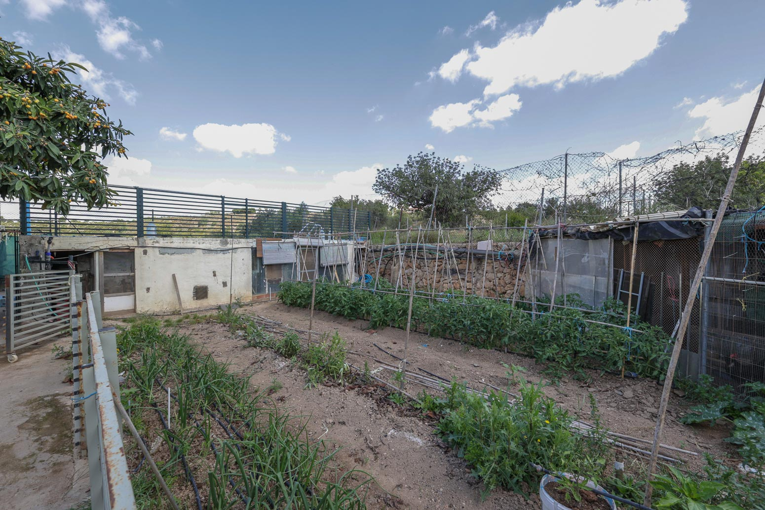 Casas o chalets-Venta-Cheste-2256891-Foto-25