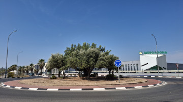 Fincas y solares-Venta-Monserrat - Montserrat-2362922-Foto-11-Carrousel